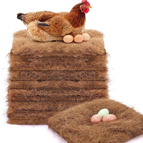Pack chicken nest box - nest,