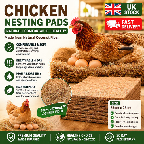 Pack chicken nest box - chicken,