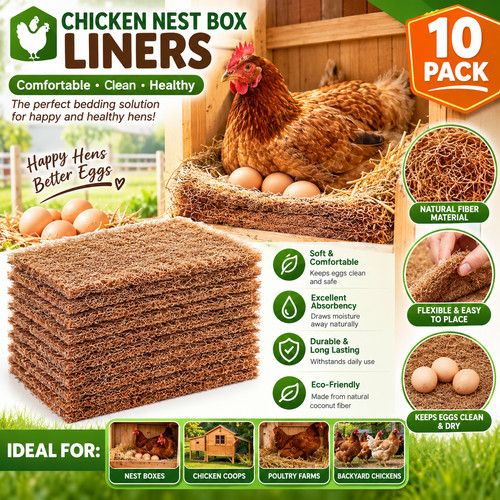 Pack chicken nest box - pack,