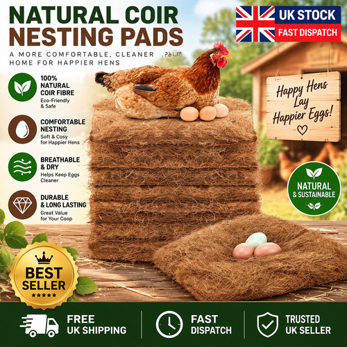 Pack chicken nest - 10,