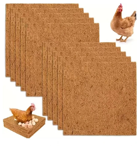 Pack chicken nest - 10, box
