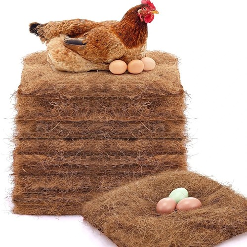 Pack chicken nest - chicken, box