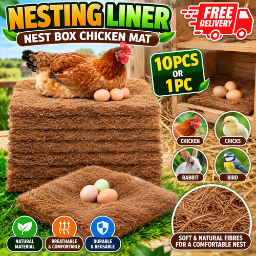 Pack chicken nest box - nest,