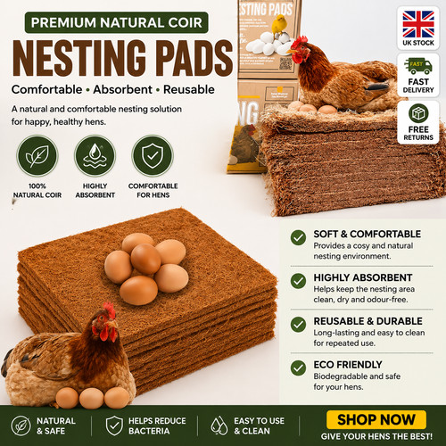 Pack chicken nest box - 10,