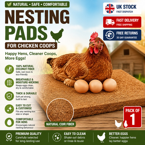 Pack chicken nest box - chicken,
