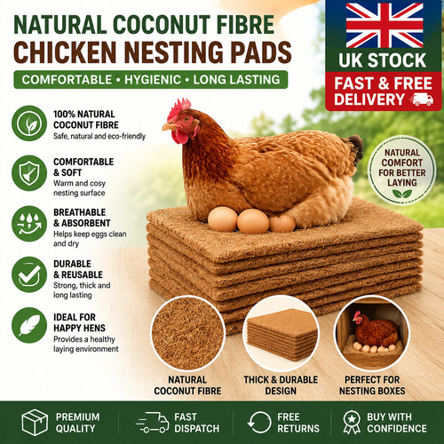 Pack chicken nest - 10,
