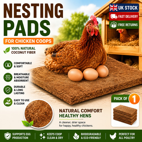 Pack chicken nest box - 10,