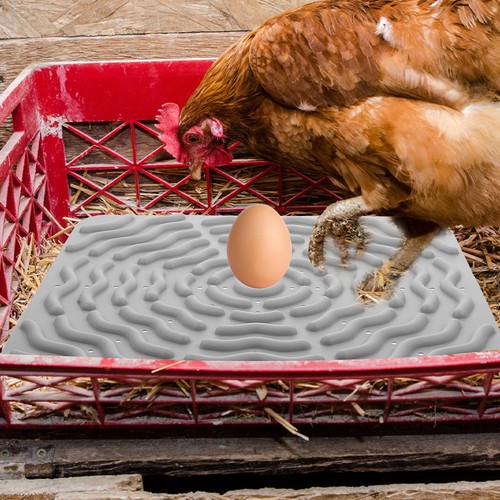 Pcs chicken nest silicone - 2,