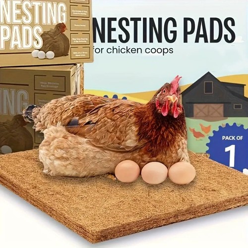 Pack chicken nest - pack,