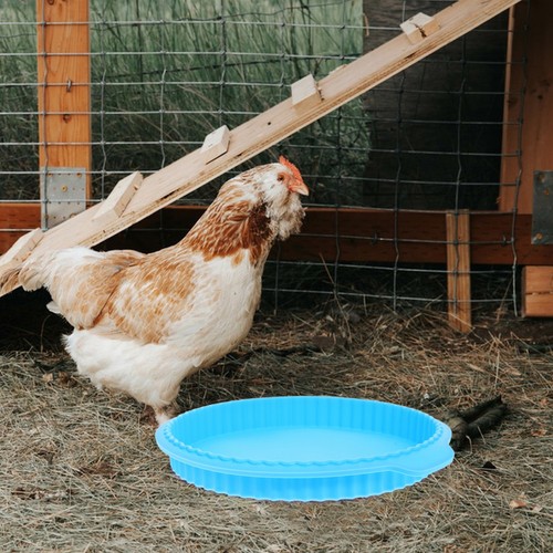 Reusable silicone chicken - silicone,