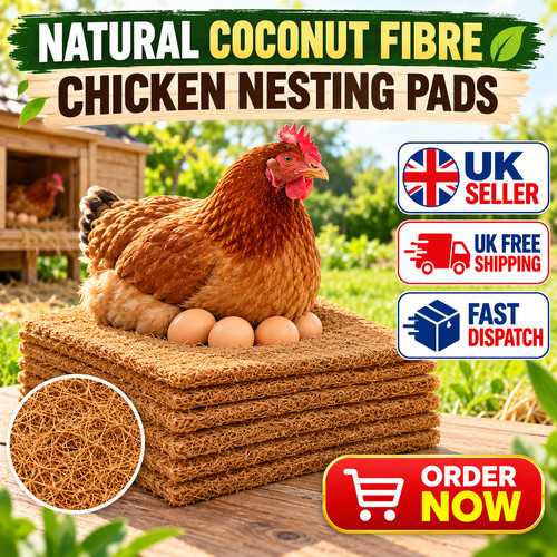 Pack chicken nest box - 10,
