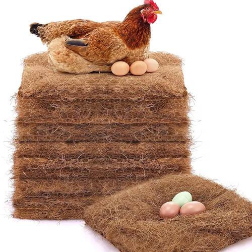 Pack chicken nest - chicken, box