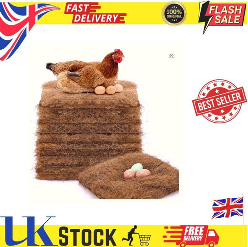 Pack chicken nest - chicken, box