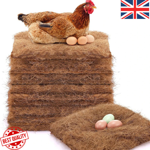 Chicken coop nesting box - nesting,
